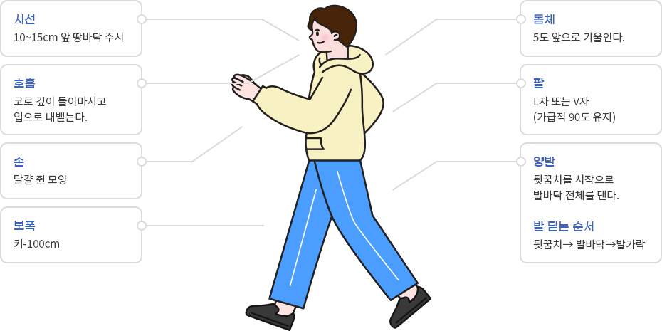 걷기 운동의 효과 이미지화(자세한 내용은 아래를 확인해주세요.)